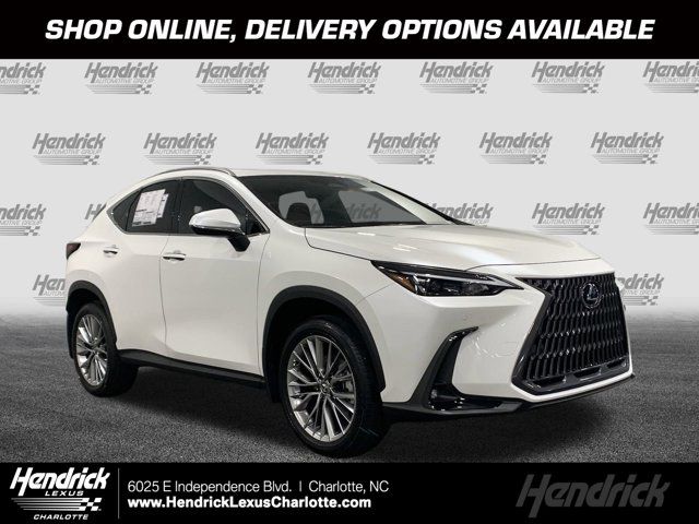 2025 Lexus NX 350 Premium