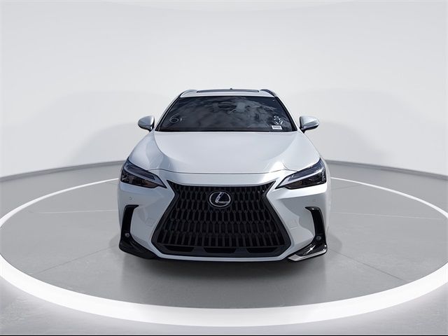 2025 Lexus NX 350 Premium