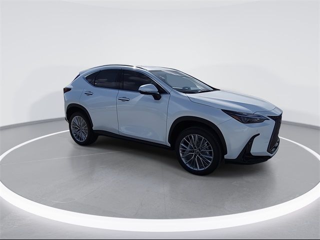 2025 Lexus NX 350 Premium