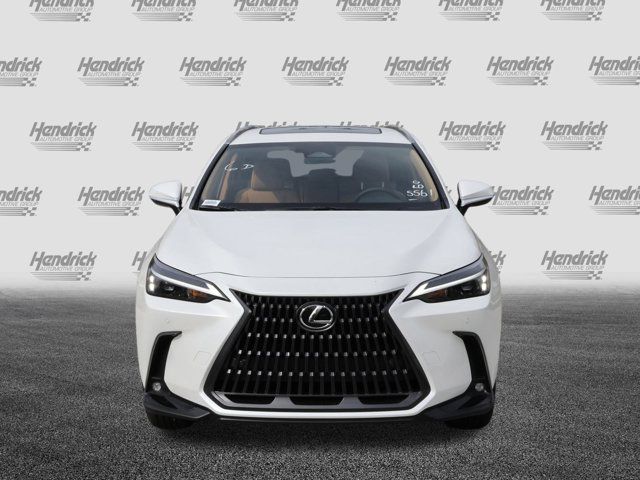 2025 Lexus NX 350 Premium