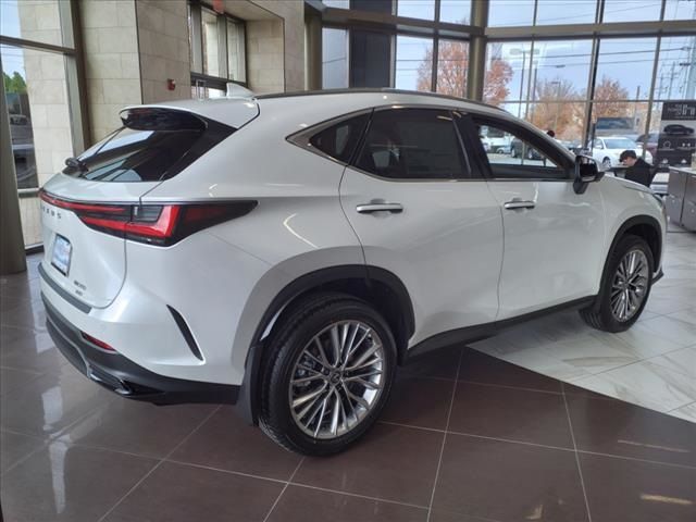 2025 Lexus NX 350 Premium