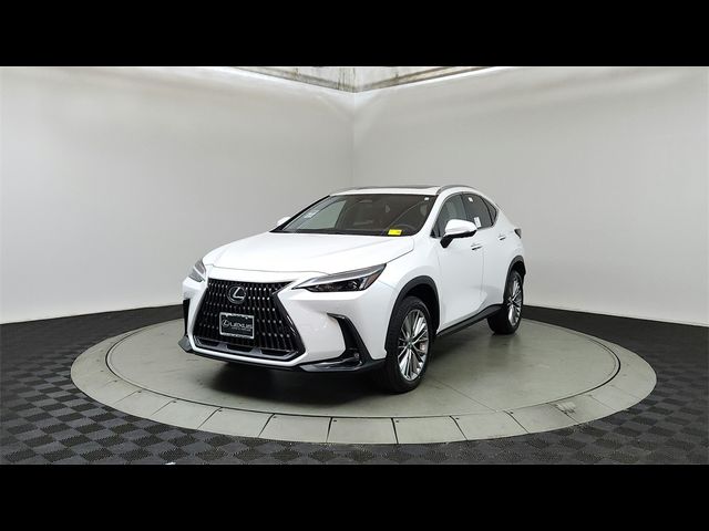 2025 Lexus NX 350 Premium