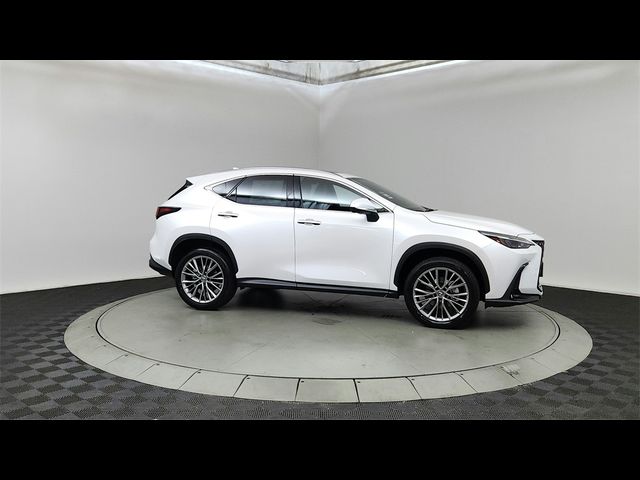 2025 Lexus NX 350 Premium