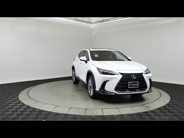 2025 Lexus NX 350 Premium