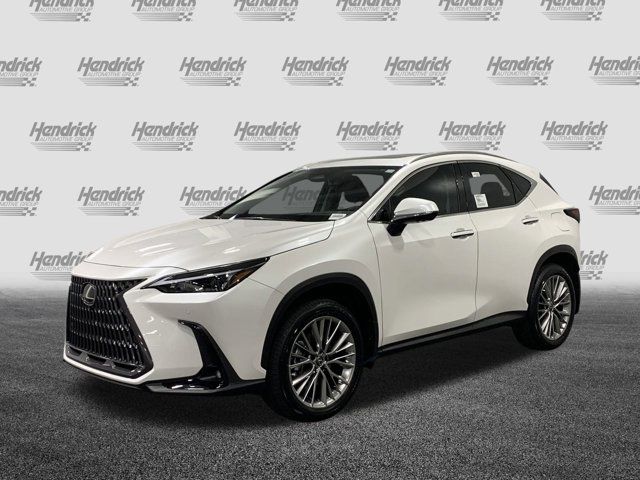 2025 Lexus NX 350 Premium