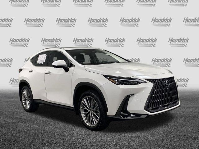 2025 Lexus NX 350 Premium