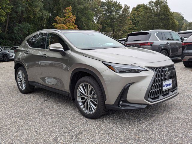 2025 Lexus NX 350 Premium