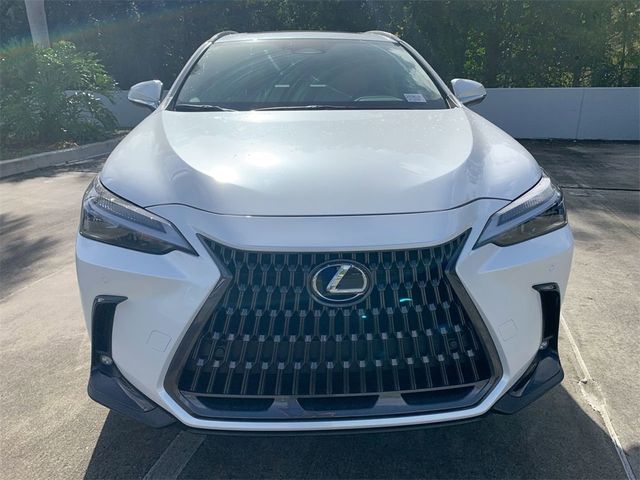 2025 Lexus NX 350h