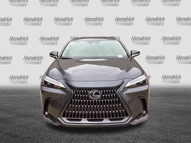 2025 Lexus NX 350h