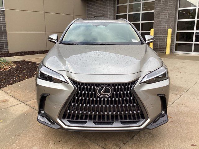 2025 Lexus NX 350h