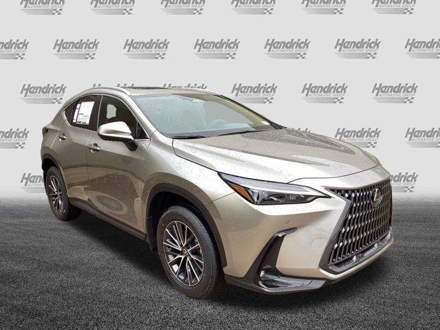 2025 Lexus NX 350h