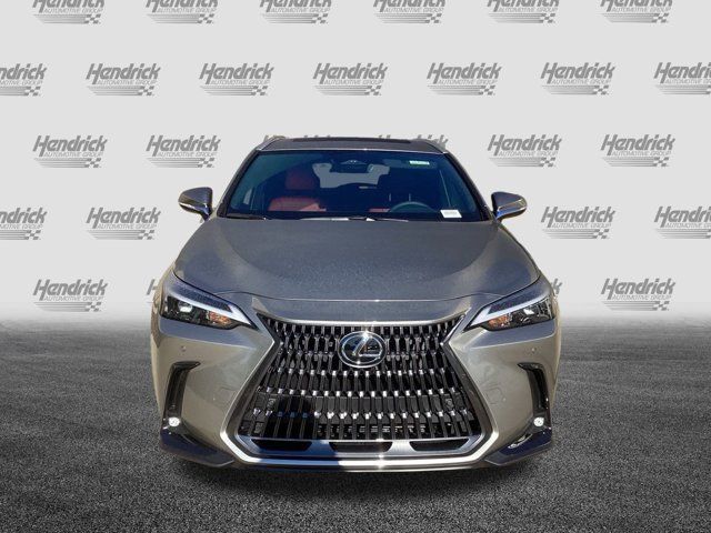 2025 Lexus NX 350h