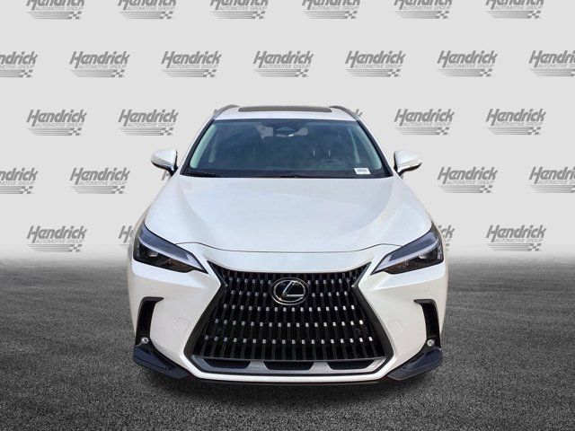 2025 Lexus NX 350h