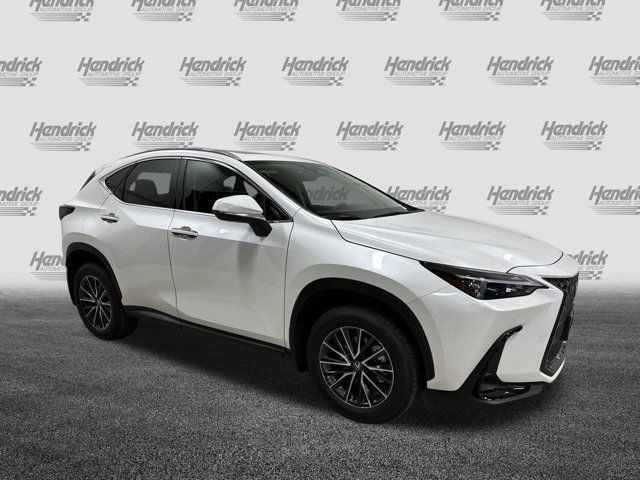 2025 Lexus NX 350h