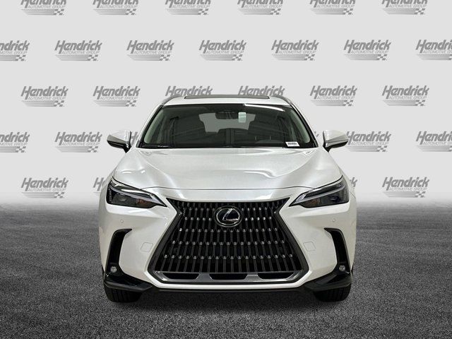 2025 Lexus NX 350h