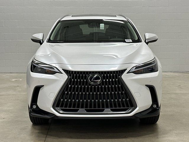 2025 Lexus NX 350h