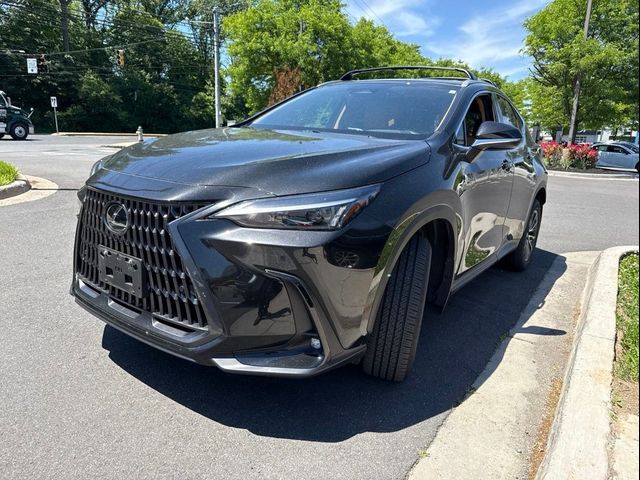 2025 Lexus NX 350h