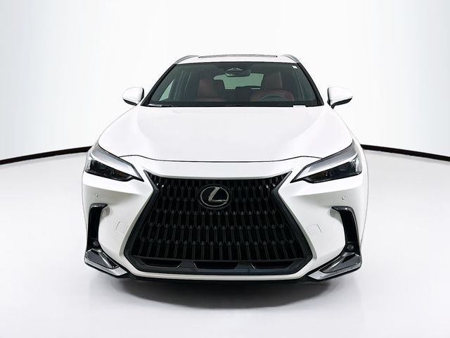 2025 Lexus NX 350h