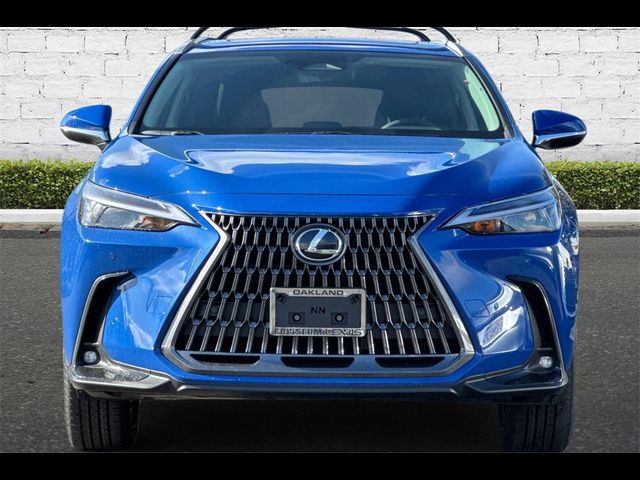 2025 Lexus NX 350h