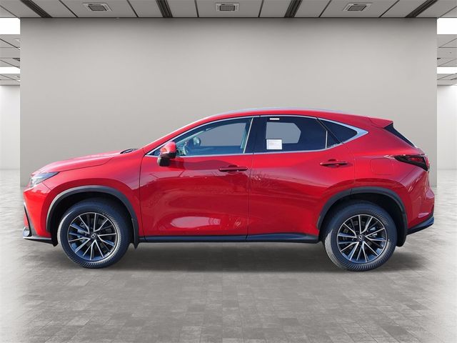 2025 Lexus NX 350h