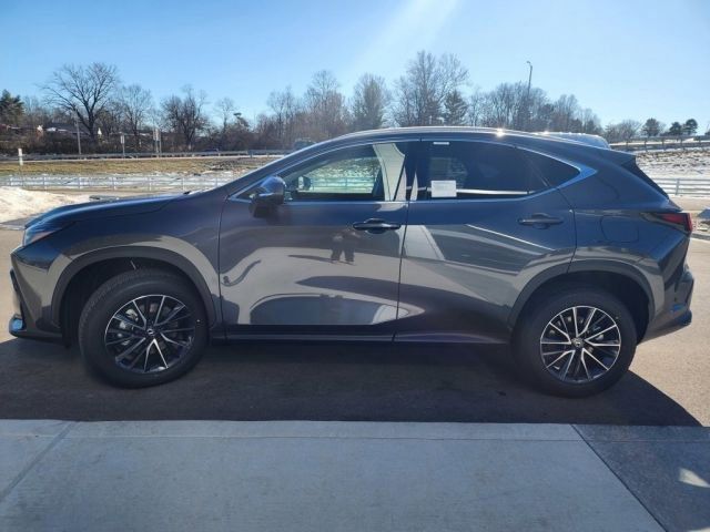 2025 Lexus NX 350h