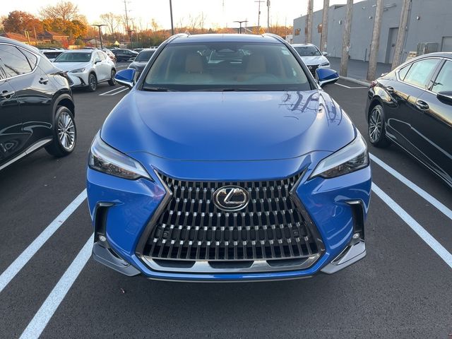 2025 Lexus NX 350h