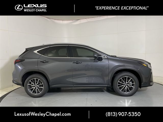 2025 Lexus NX 350h