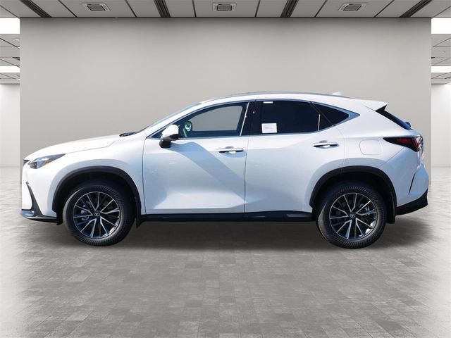 2025 Lexus NX 350h