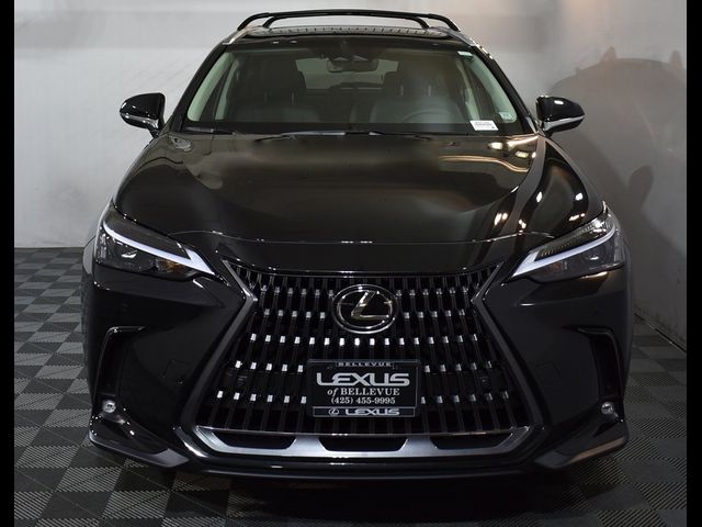 2025 Lexus NX 350h