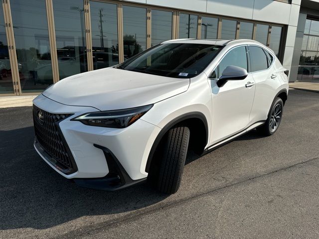 2025 Lexus NX 350h