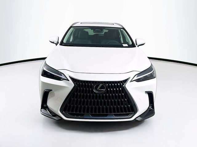 2025 Lexus NX 350h