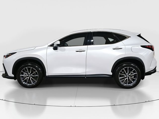 2025 Lexus NX 350h