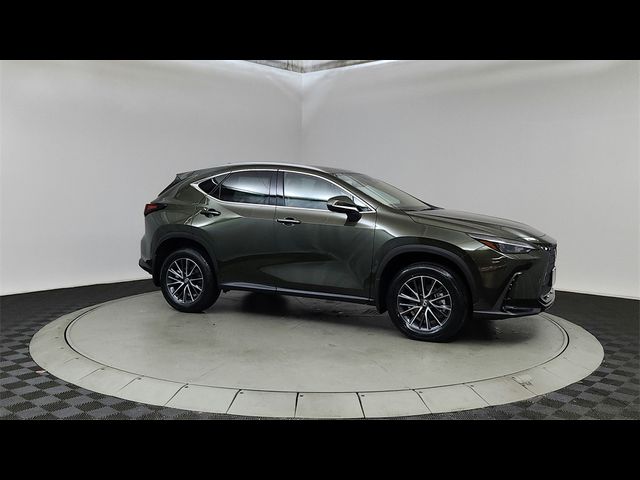 2025 Lexus NX 350h