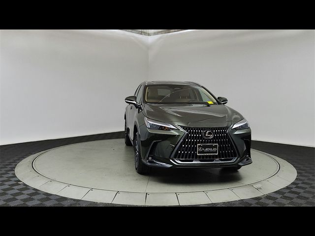 2025 Lexus NX 350h