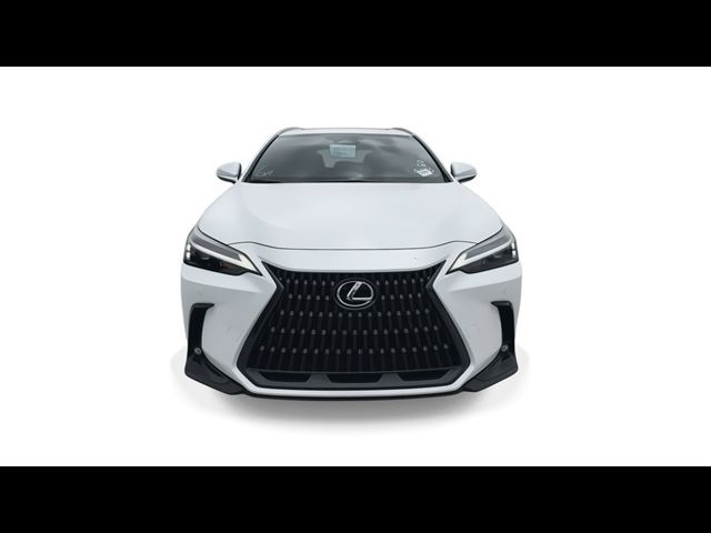 2025 Lexus NX 350h