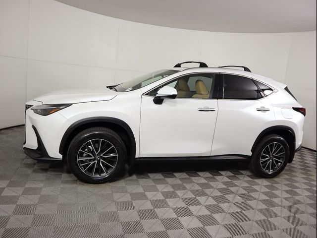 2025 Lexus NX 350h