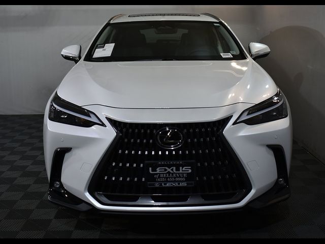 2025 Lexus NX 350h