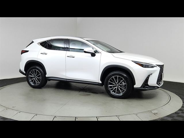 2025 Lexus NX 350h