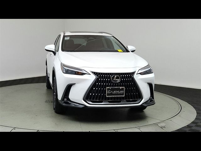 2025 Lexus NX 350h