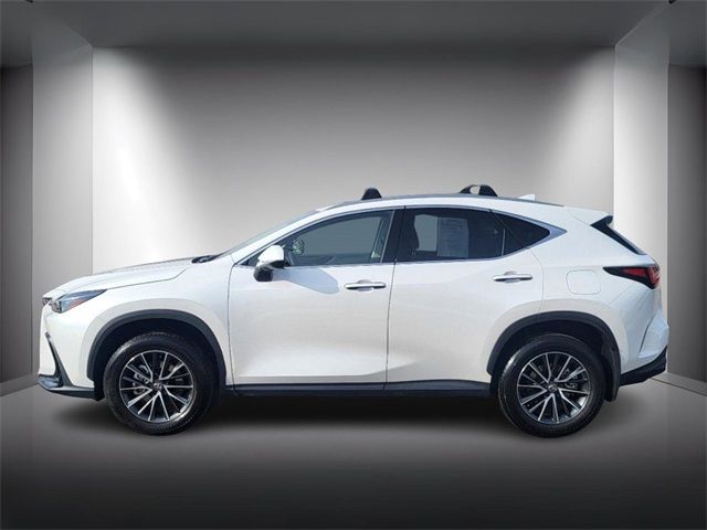 2025 Lexus NX 350h