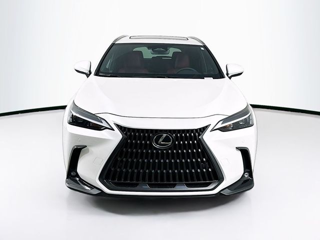 2025 Lexus NX 350h