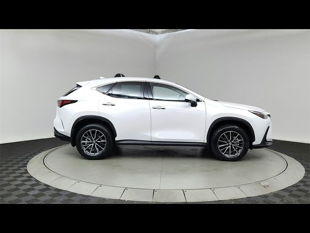 2025 Lexus NX 350h