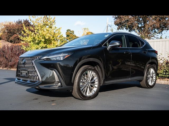 2025 Lexus NX 350h Luxury