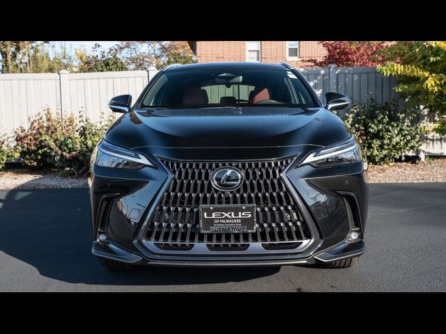 2025 Lexus NX 350h Luxury