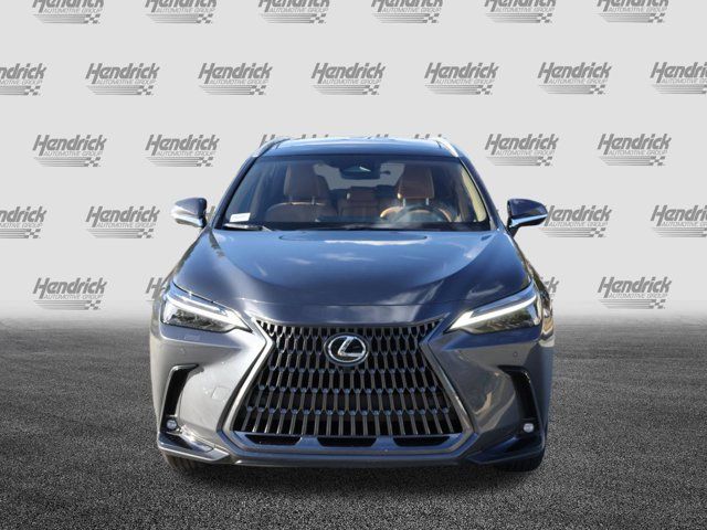 2025 Lexus NX 350h Luxury