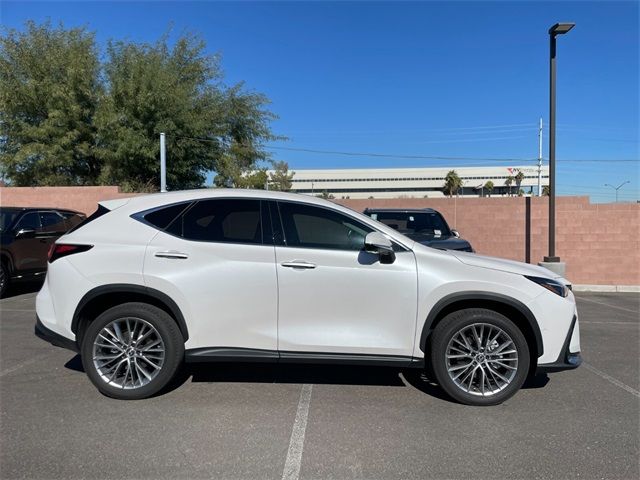 2024 Lexus NX 350h Luxury