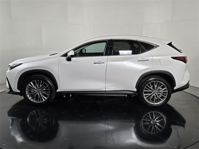 2024 Lexus NX 350h Luxury