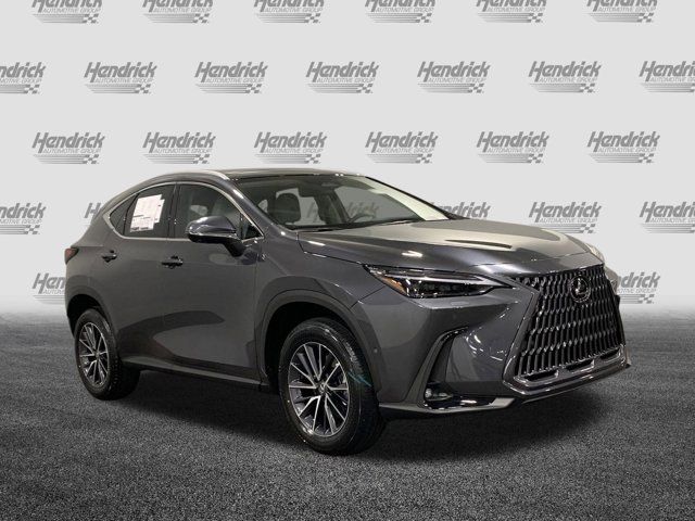 2025 Lexus NX 350h Luxury