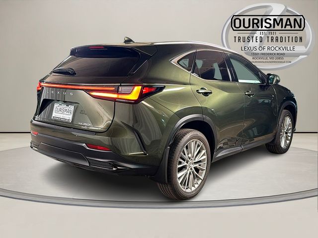 2025 Lexus NX 350h Luxury