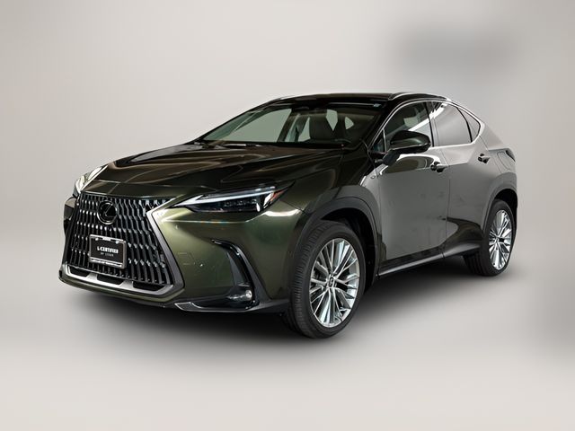 2025 Lexus NX 350h Luxury